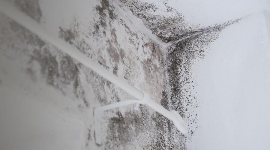 Why choose water damage restoration service for commercial water damage restoration in Portland